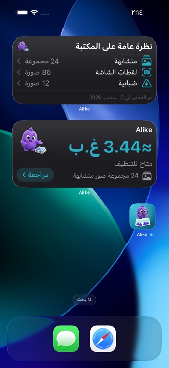 شاشة رئيسية تضم أداتَي Alike: المساحة التي يمكن استعادتها، ونظرة عامة على المكتبة.