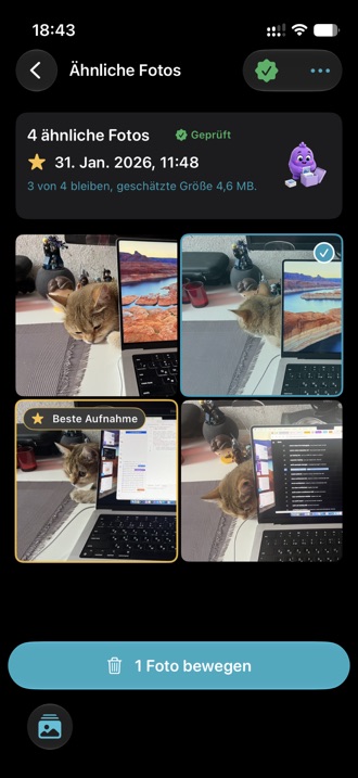 Eine Gruppe ähnlicher Fotos mit hervorgehobener bester Aufnahme und ausgewählten übrigen.