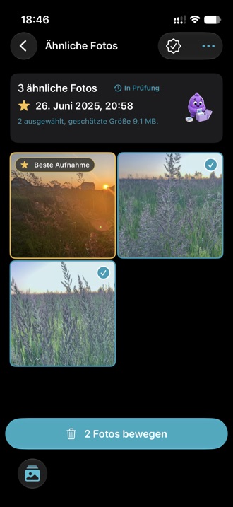Zwei visuell ähnliche Fotos nebeneinander im Vergleich.