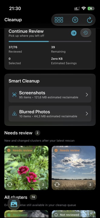 The Cleanup tab listing groups of similar photos with review badges.