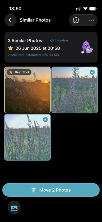 Two visually similar photos compared side by side.