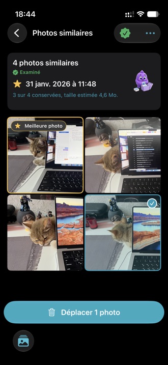 Un groupe de photos similaires avec la meilleure prise mise en avant et les autres sélectionnées.