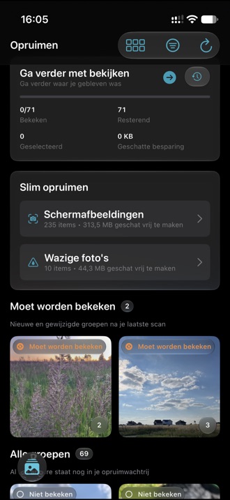 Het Opruimen-tabblad met groepen vergelijkbare foto's en beoordelingslabels.
