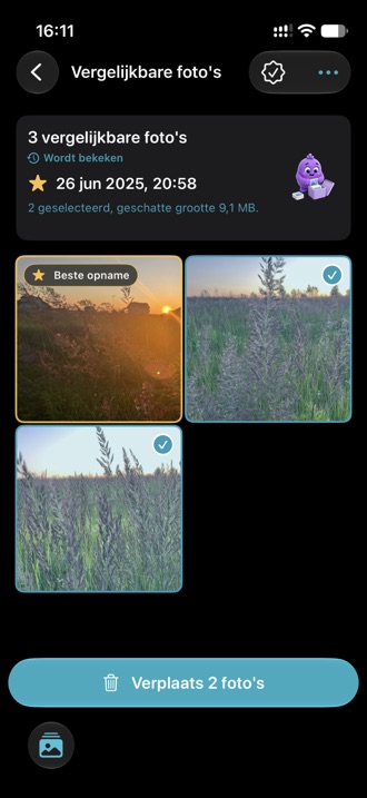 Twee visueel vergelijkbare foto's naast elkaar vergeleken.