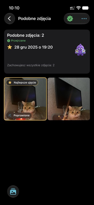 Grupa podobnych zdjęć z najlepszym ujęciem oznaczonym jako poprawione.