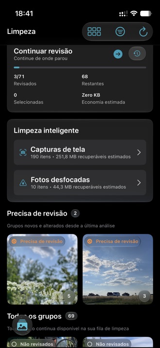 A aba de limpeza listando grupos de fotos parecidas com selos de revisão.